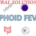 BEST WAY TO GET RID OF TYPHOID COMPLETELY WITH TESTIMONIES.